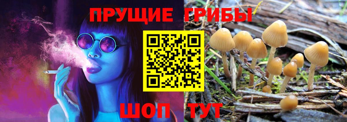 Псилоцибиновые грибы Psilocybine cubensis Новодвинск