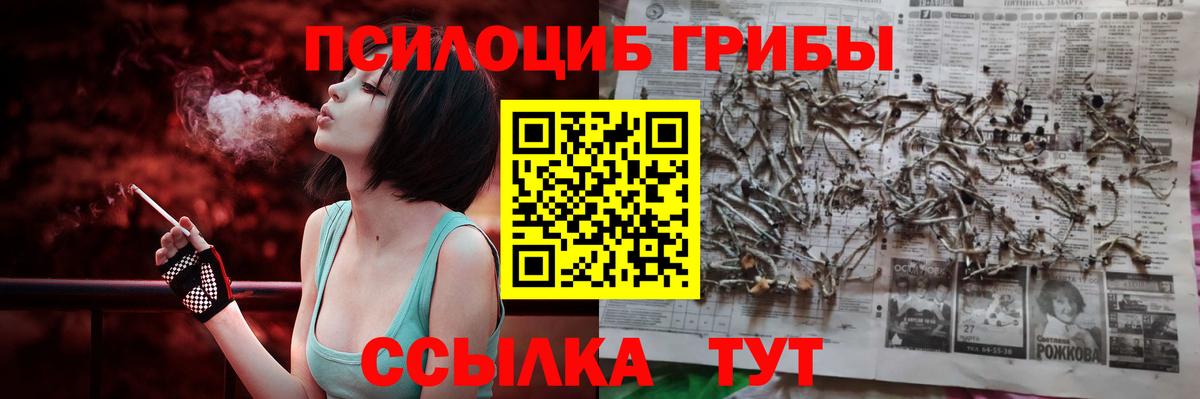 Галлюциногенные грибы ЛСД  что такое   Новодвинск  Вход с VPN 